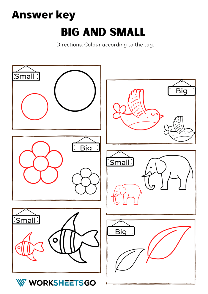 Big And Small Worksheet Answer Key Big And Small Worksheet Answer Key