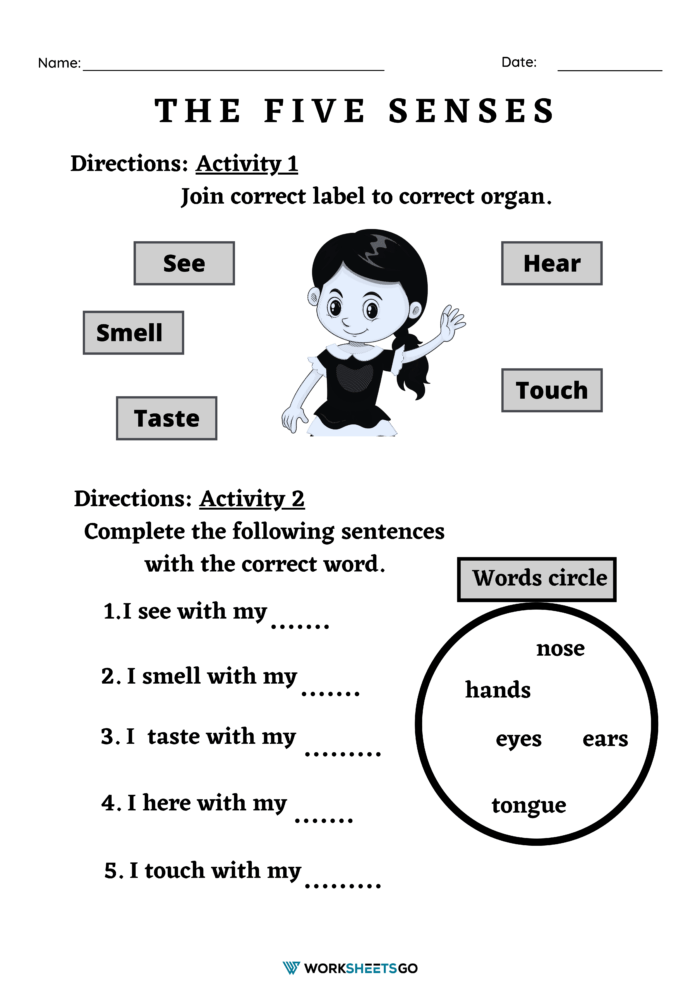 5 Senses Worksheets