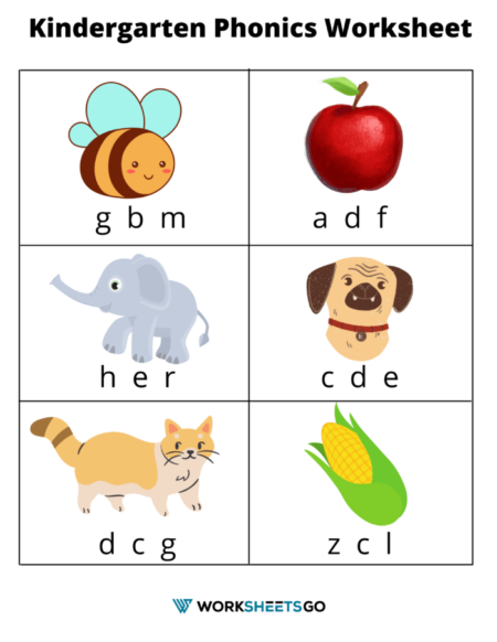 Beginning Sound Worksheet With Pictures