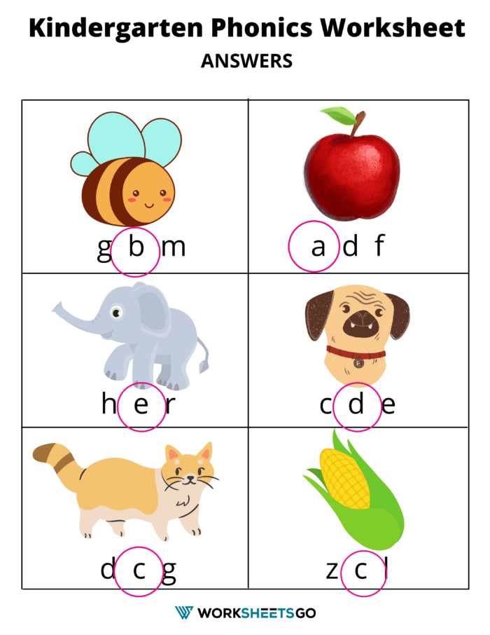 Beginning Sound Worksheet With Pictures Answer Key 