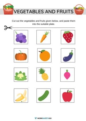 Sorting For Kindergarten Worksheets | WorksheetsGO