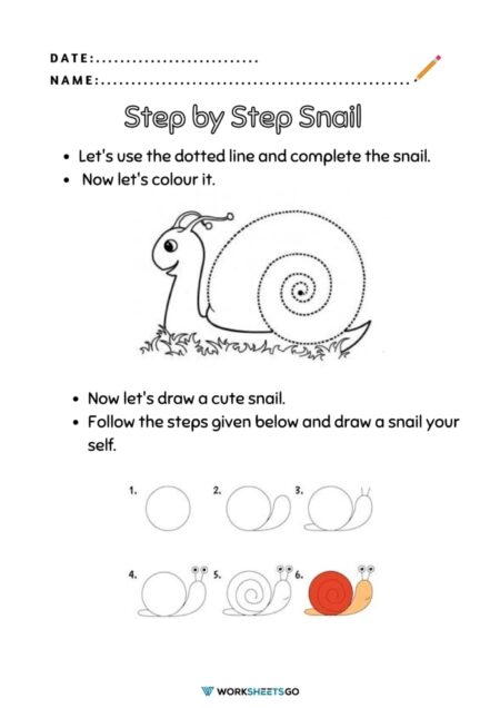 Snail Drawing Easy Worksheets