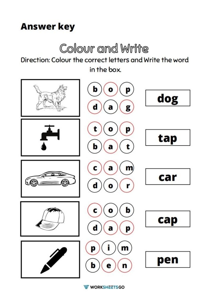 Three Letter Words Worksheets Anwer Key Three Letter Words Worksheets Anwer Key