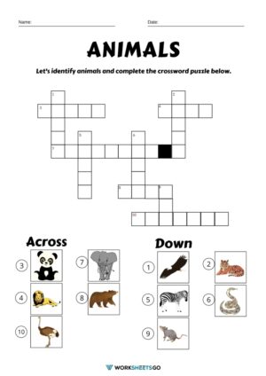 Crossword Puzzle Picture Worksheets