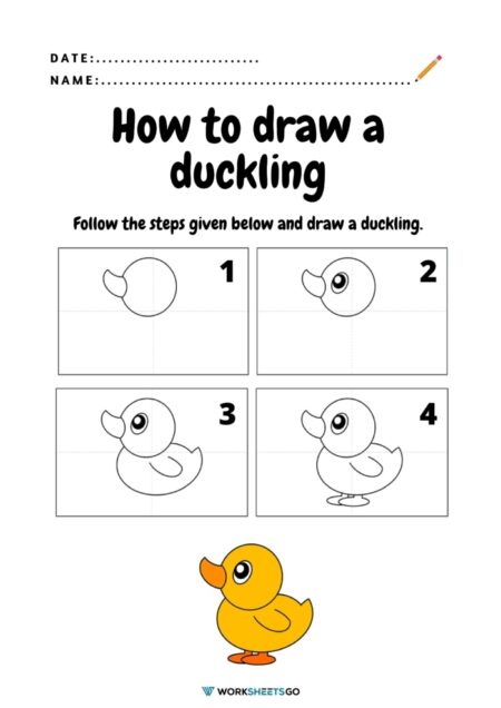 Draw a Duckling Worksheets