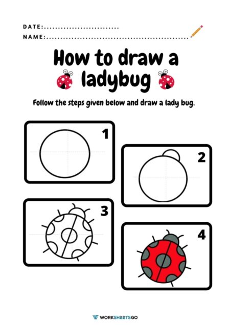 Simple Ladybug Drawing Worksheets