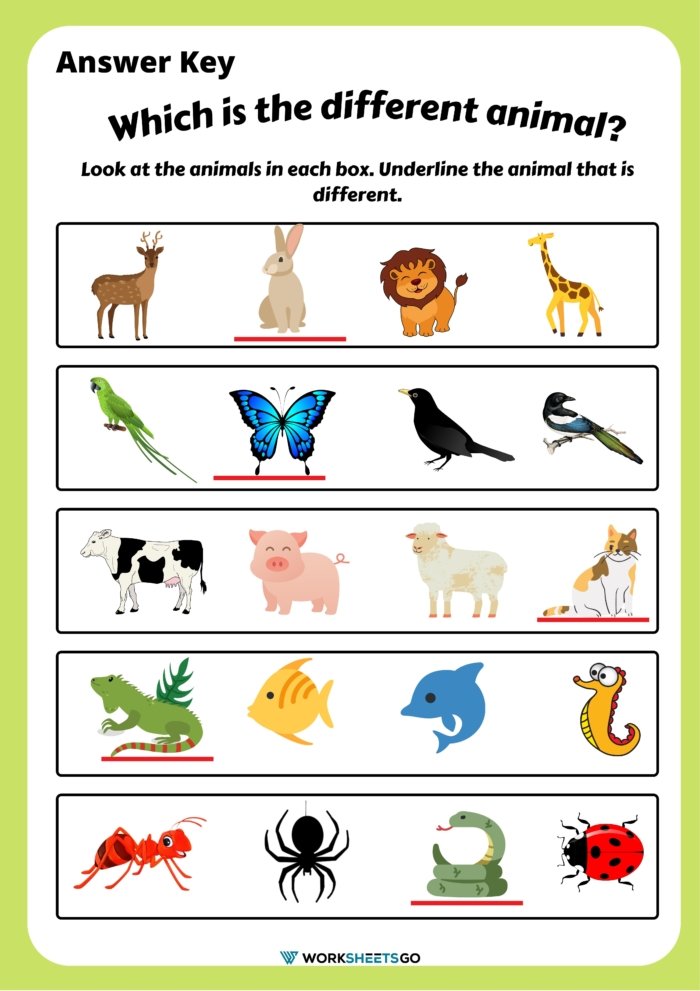 Underline The Animal That Is Different Answer Key Underline The Animal That Is Different Answer Key