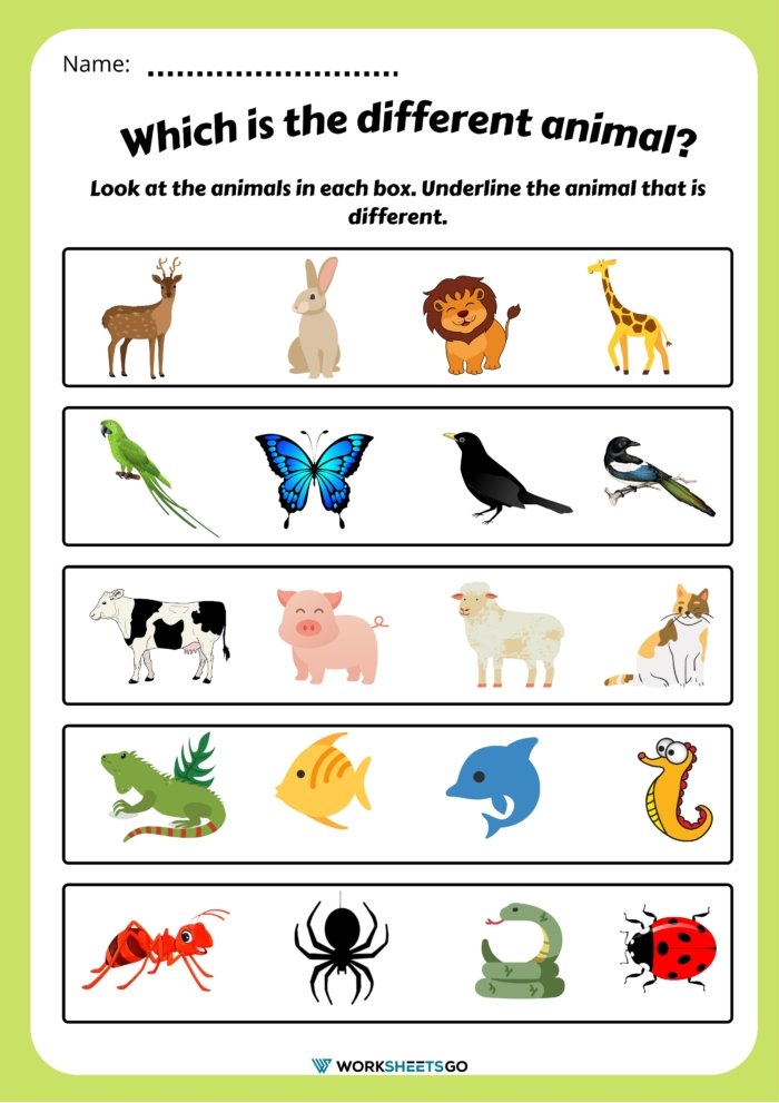 Underline The Animal That Is Different Underline The Animal That Is Different