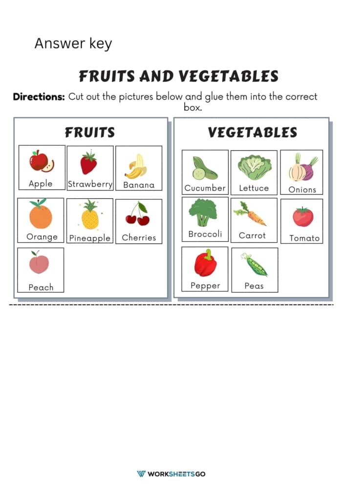Fruits And Vegetable Worksheet Answer Key 2