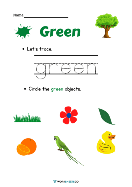 Color Green Worksheets