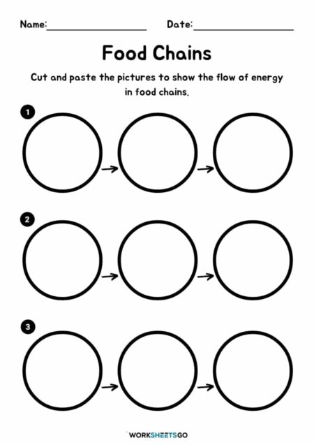 Food Chains Worksheets