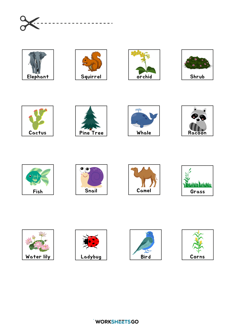 Plants And Animals Worksheet Cut Paste