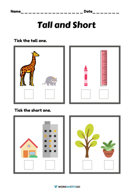 Tall and Short Worksheets