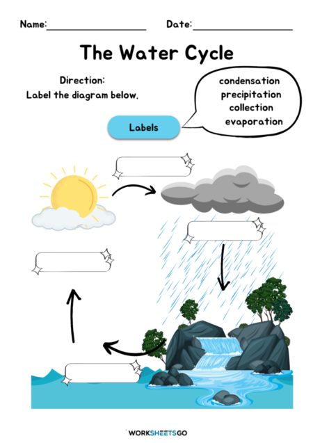 The Water Cycle Worksheets