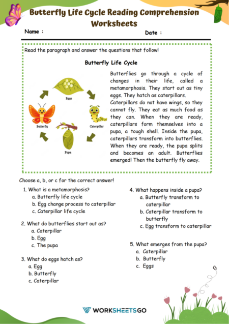 Butterfly Life Cycle Reading Comprehension Worksheets