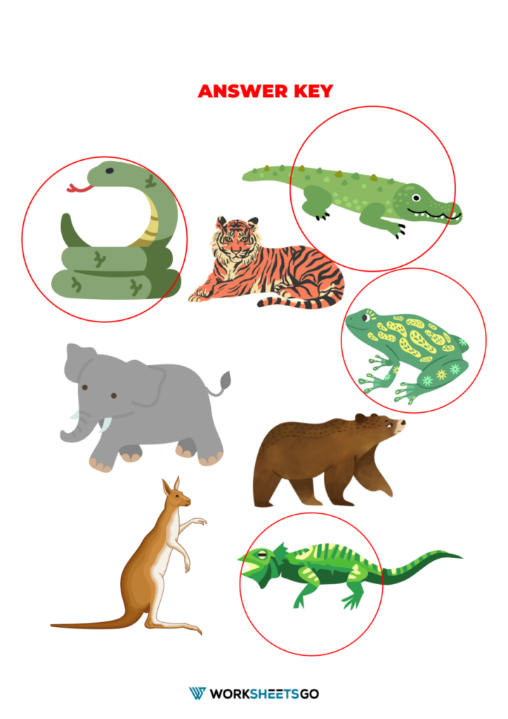 Reptiles Worksheets WorksheetsGO