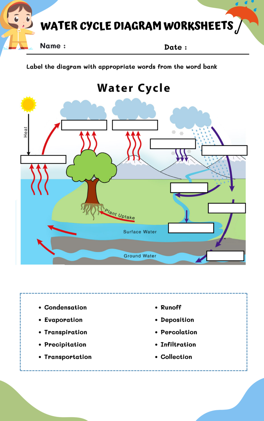 Water Cycle Without Labels