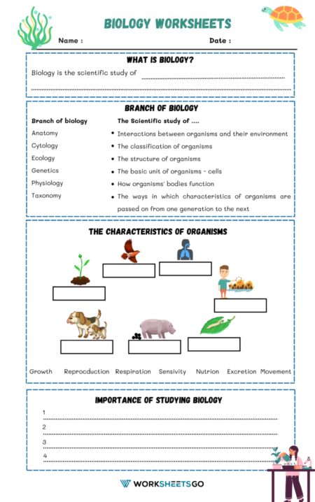 What is Biology Worksheets
