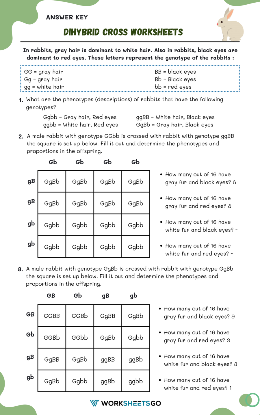 Dihybrid Cross Worksheet Answer Key