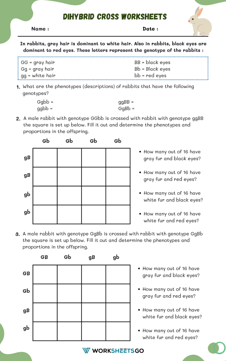 Dihybrid Cross Worksheet