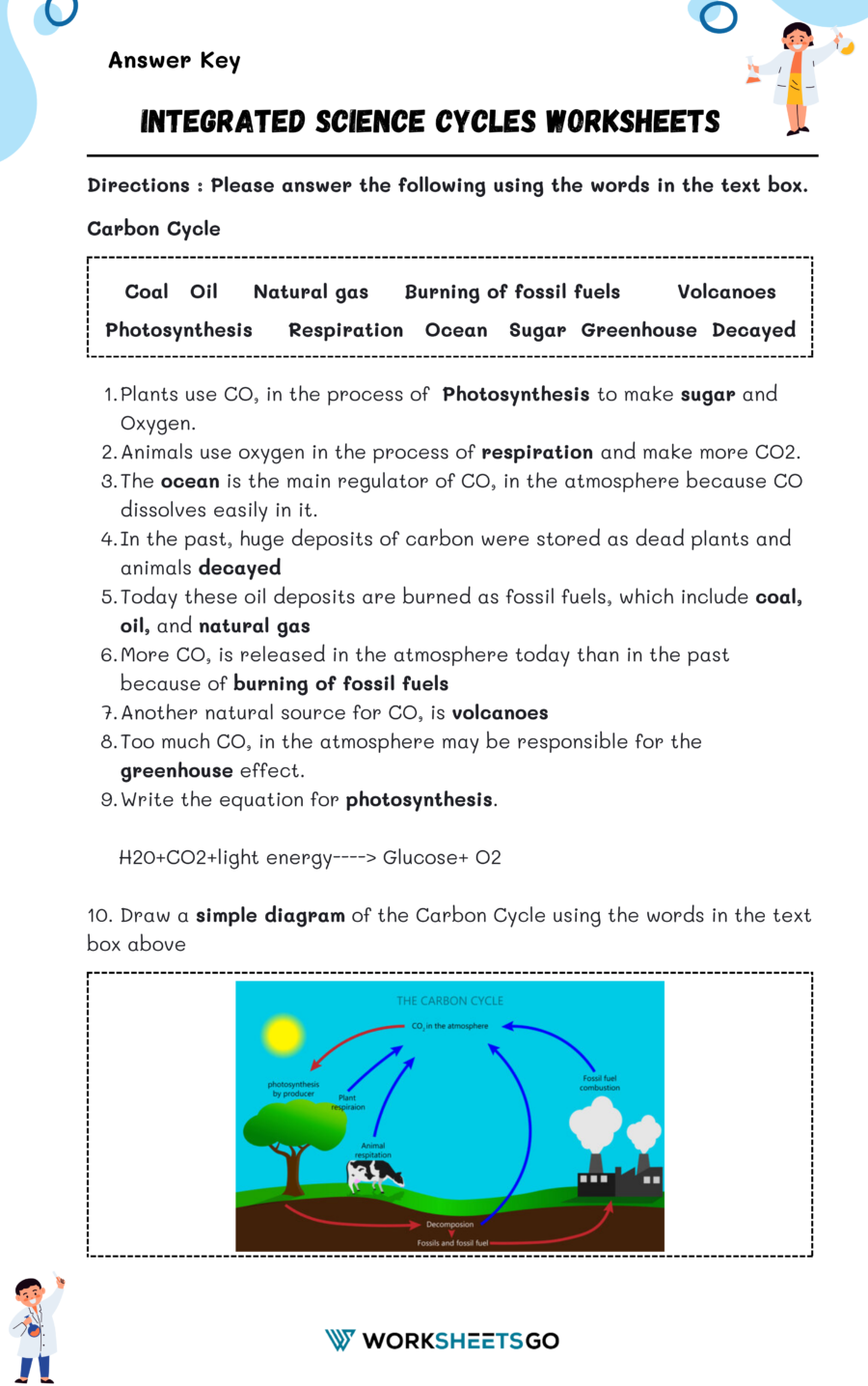 Integrated Science Cycles, Carbon Cycle Worksheet Answer Key