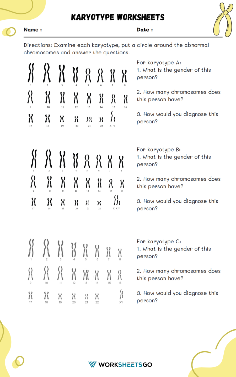 Karyotype Worksheet 1
