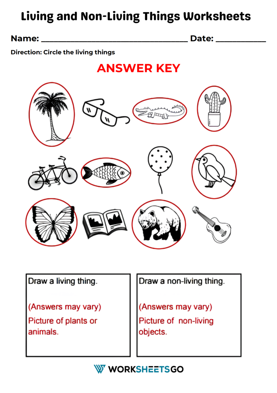 Living And Non Living Things Worksheet Answer Key