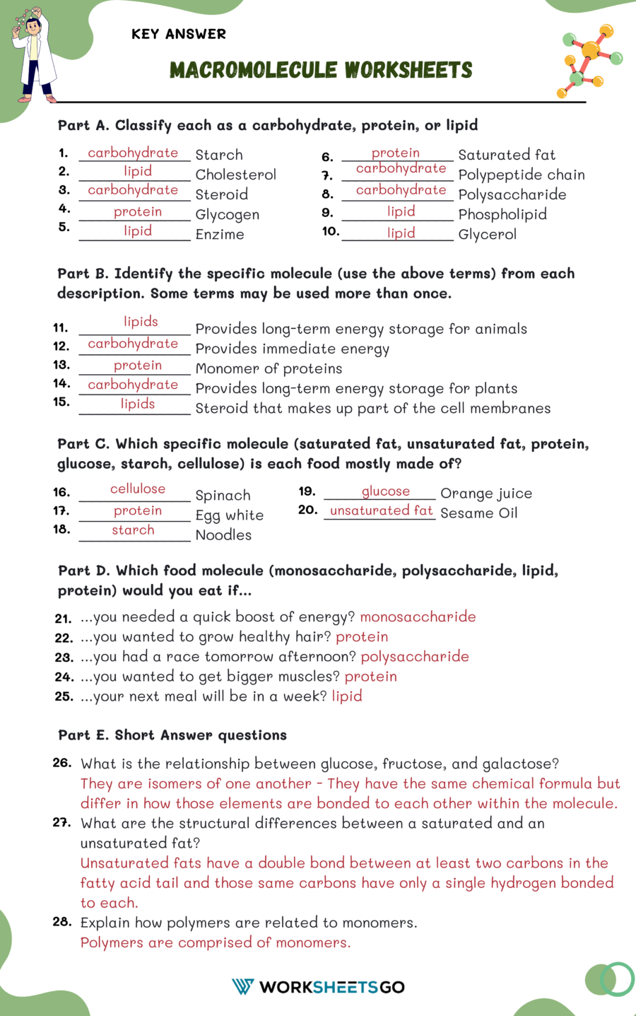 Macromolecule Worksheet Answer Key Macromolecule Worksheet Answer Key