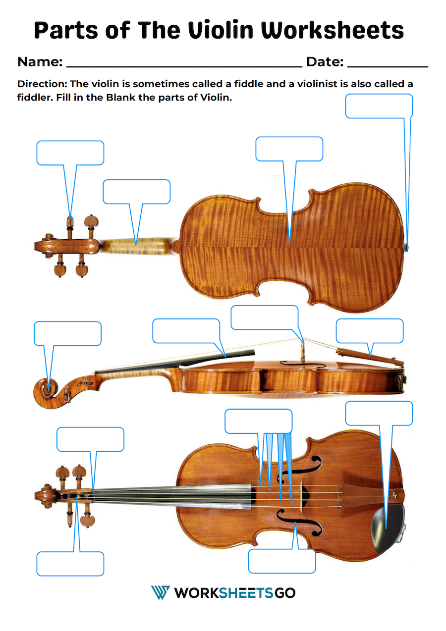 Parts Of The Violin Worksheet