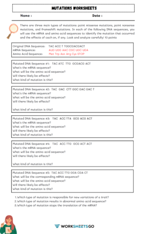 Mutations Worksheets