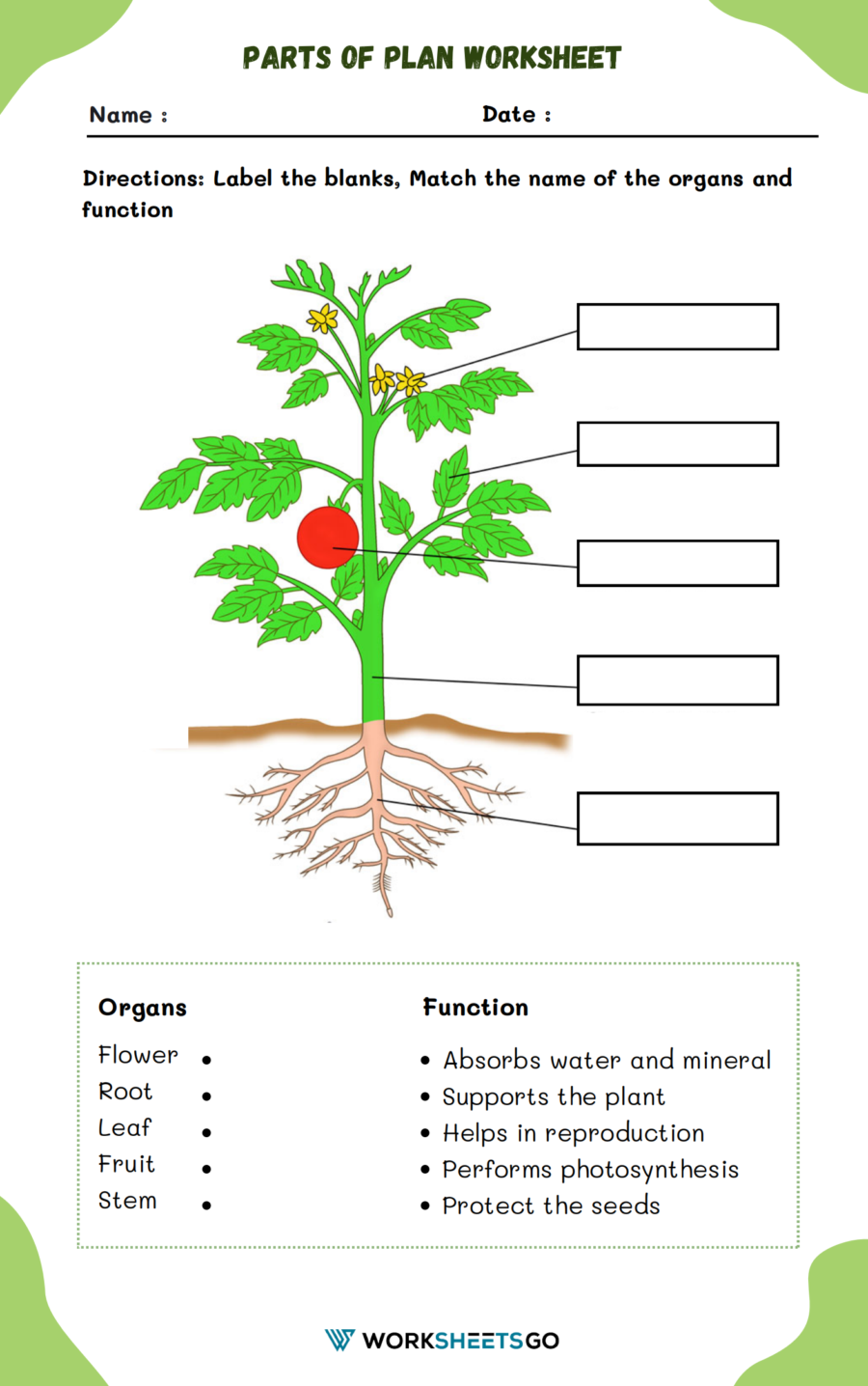 Parts Of Plan Worksheet Parts Of Plan Worksheet