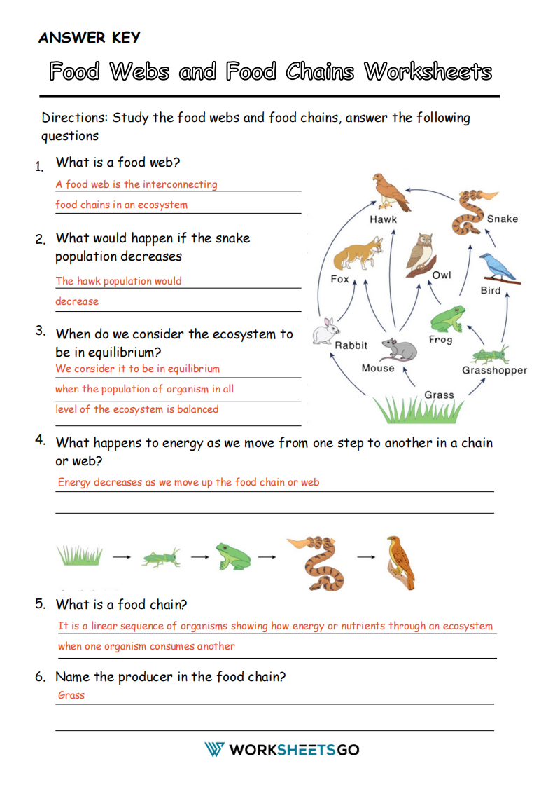 Food Webs And Food Chains Worksheets WorksheetsGO