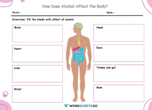 How Does Alcohol Affect the Body Worksheets