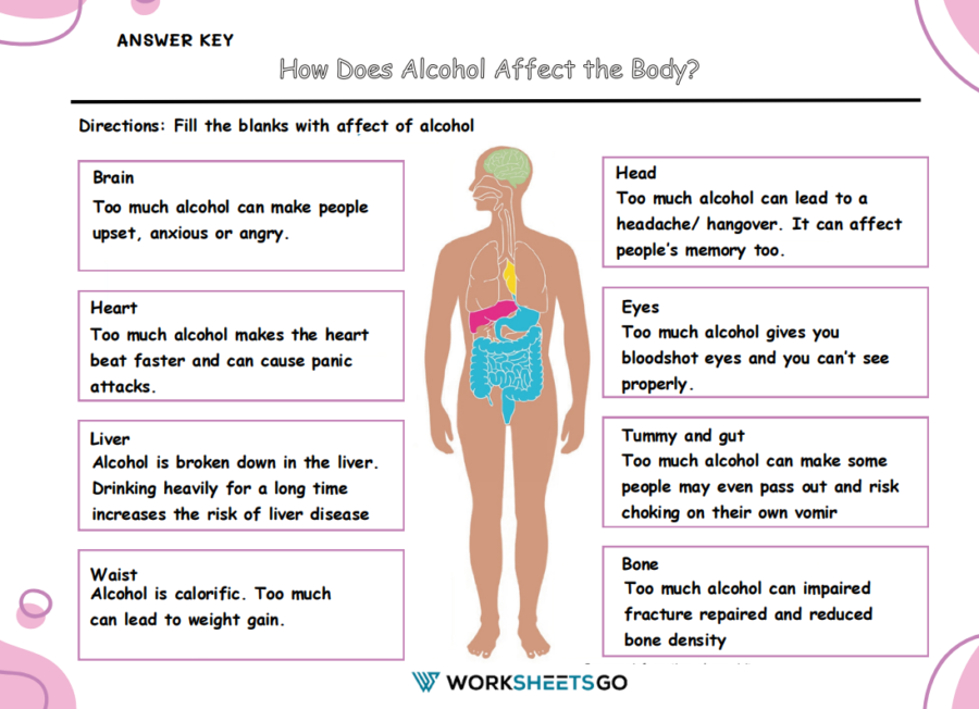 How Does Alcohol Affect The Body Worksheet Answer Key How Does Alcohol Affect The Body Worksheet Answer Key