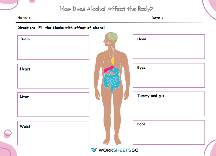 How Does Alcohol Affect The Body Worksheet How Does Alcohol Affect The Body Worksheet