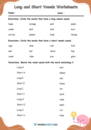 Long and Short Vowels Worksheets