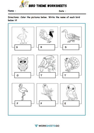 Bird Theme Worksheets