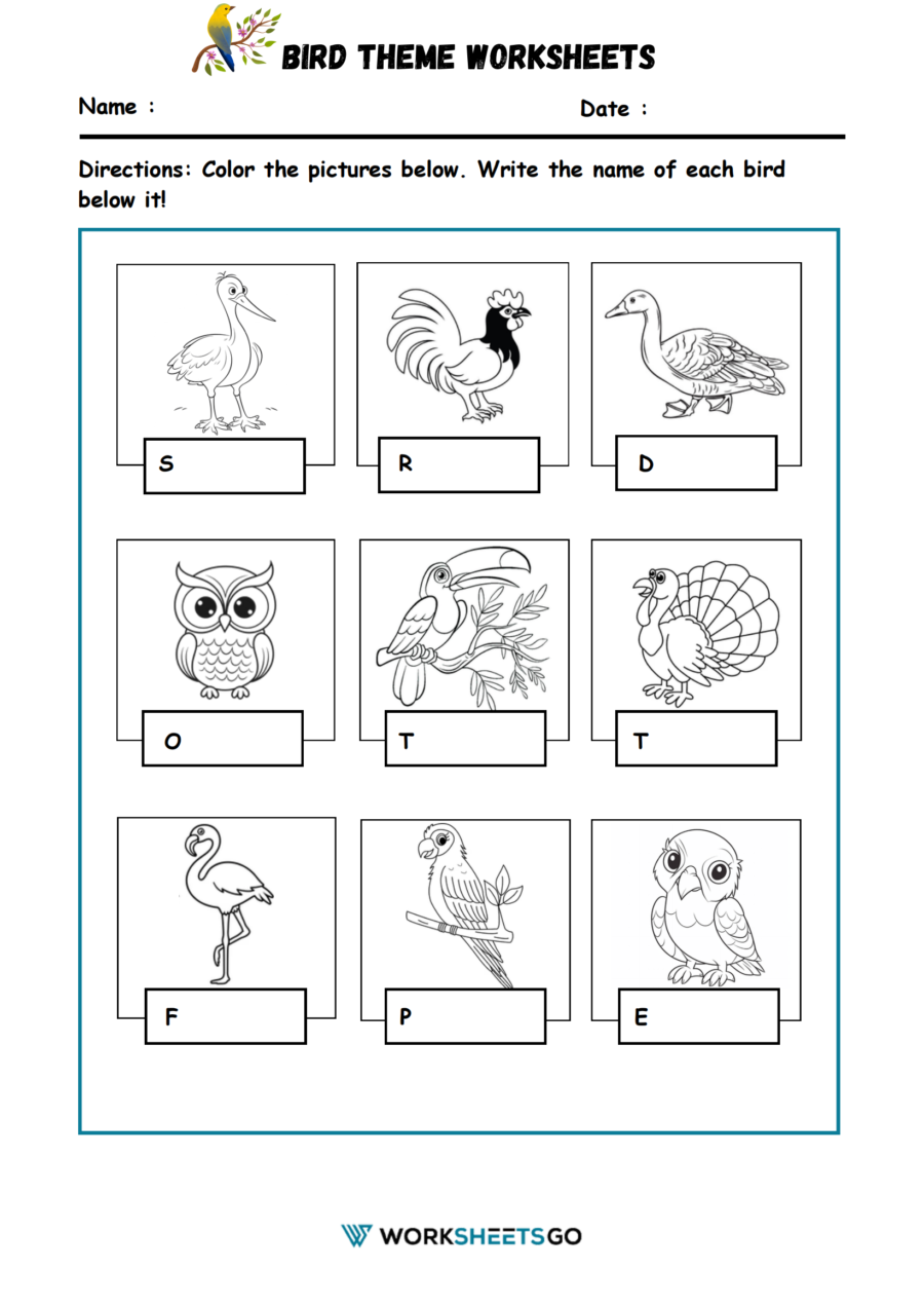 Bird Theme Worksheet Bird Theme Worksheet