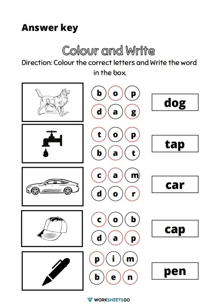 Three Letter Words Worksheets Anwer Key Three Letter Words Worksheets Anwer Key